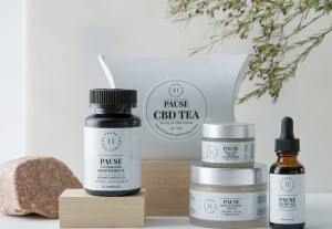 Holiday Gift Ideas for Backpackers