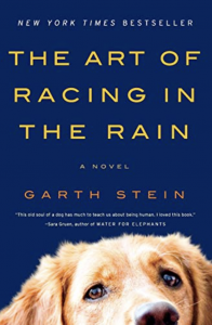 The Art of Racing in the Rain