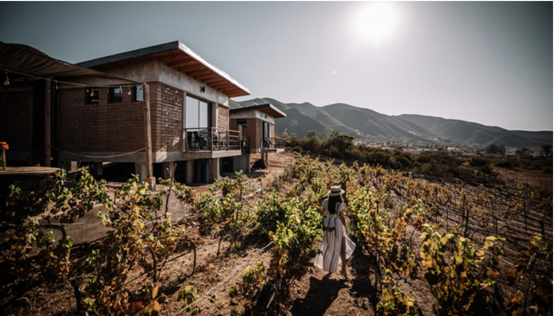 Valle de Guadalupe Mexico Road Trip