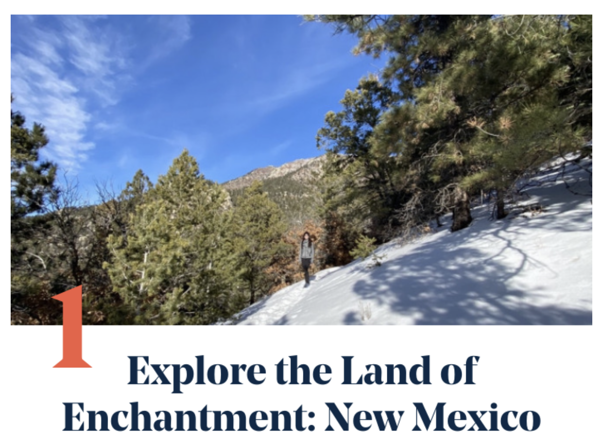 New Mexico Road Trip